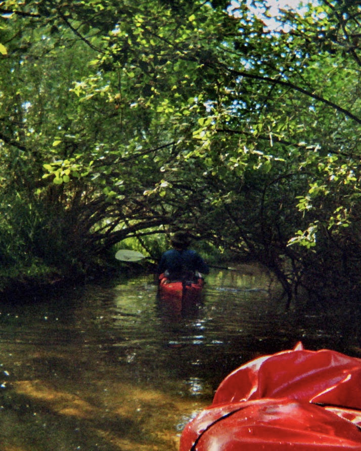 Sealed: Kajakfahrt auf grünem Fluss, analoger Film-Look
